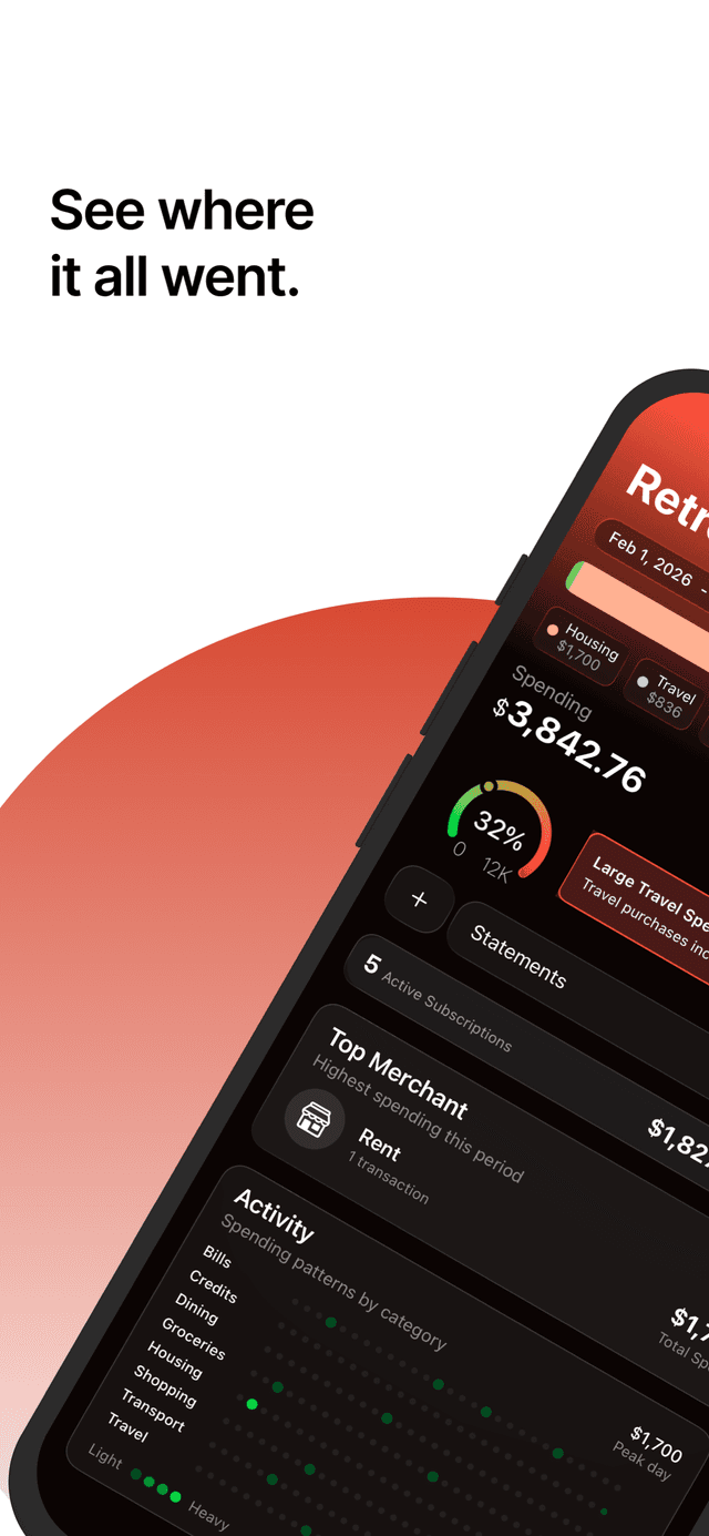 How to Analyze a Bank Statement to See Where Your Money Goes — RetroBudget iPhone screenshot